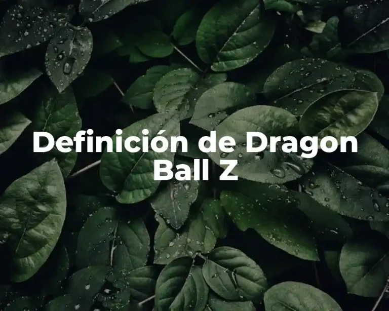 Definición de Dragon Ball Z