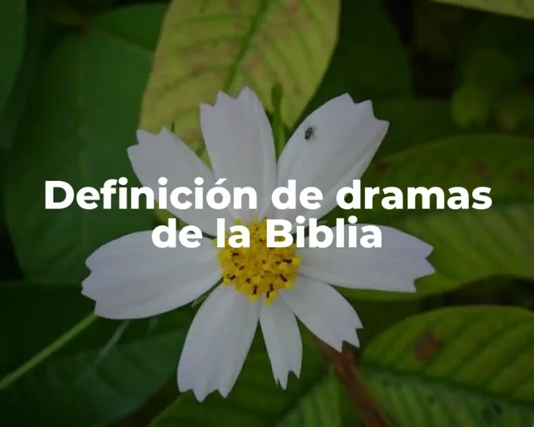 Definición de dramas de la Biblia