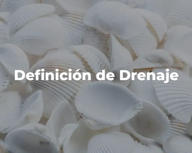 Definición de Drenaje