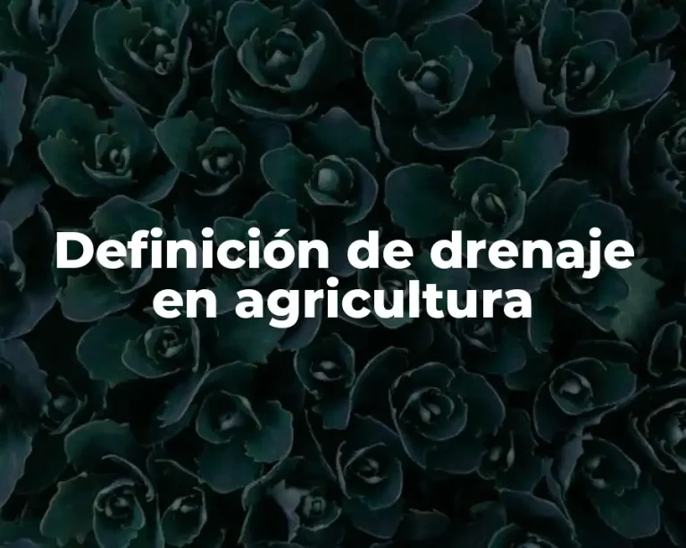 Definición de drenaje en agricultura