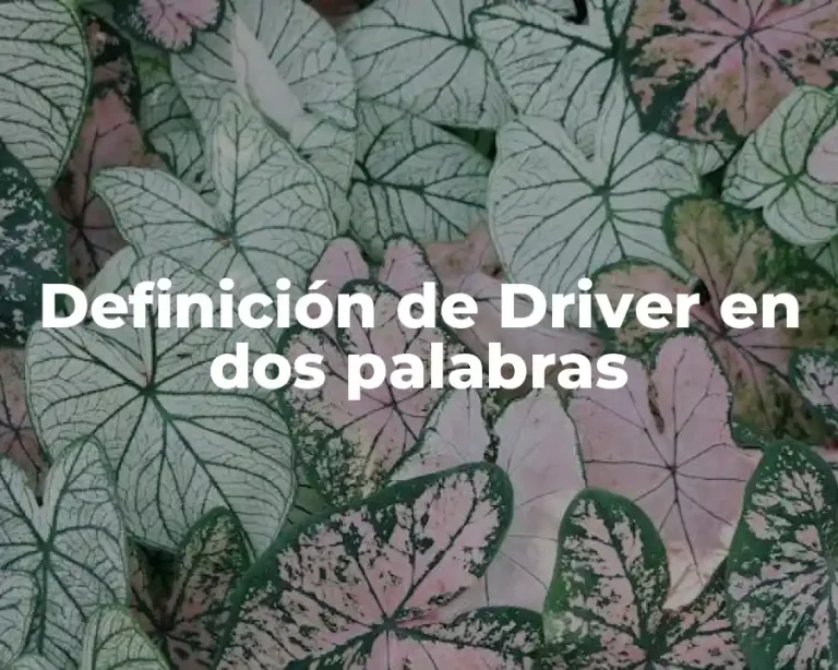 Definición de Driver en dos palabras