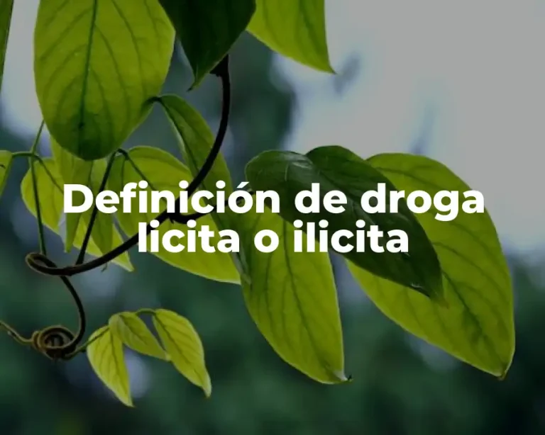 Definición de droga licita o ilicita