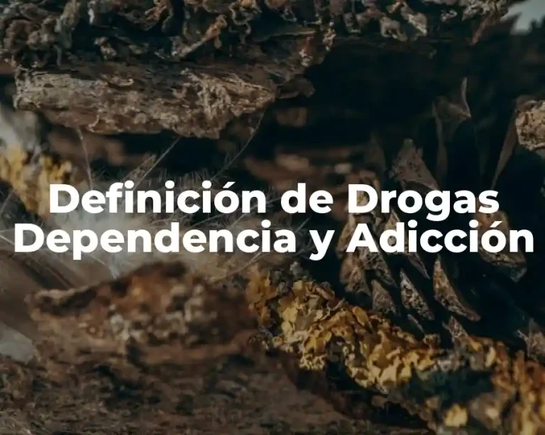 Definición de Drogas Dependencia y Adicción