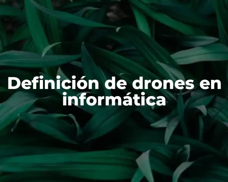 Definición de drones en informática