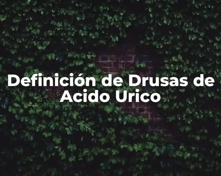 Definición de Drusas de Acido Urico