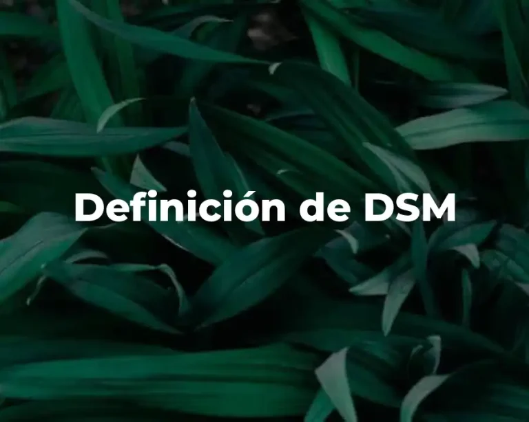 Definición de DSM