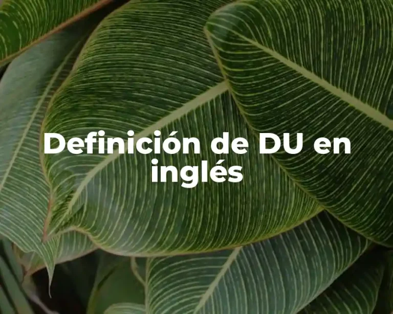 Definición de DU en inglés