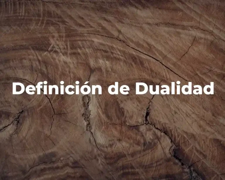 Definición de Dualidad