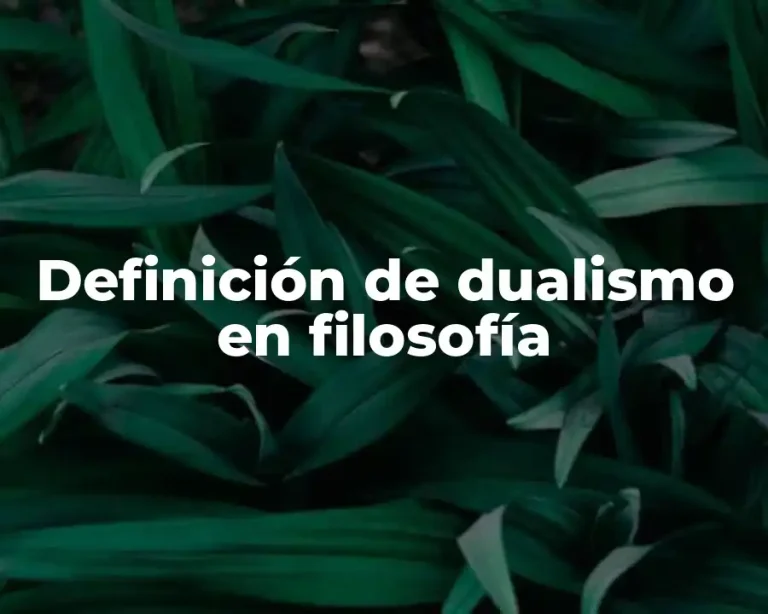 Definición de dualismo en filosofía