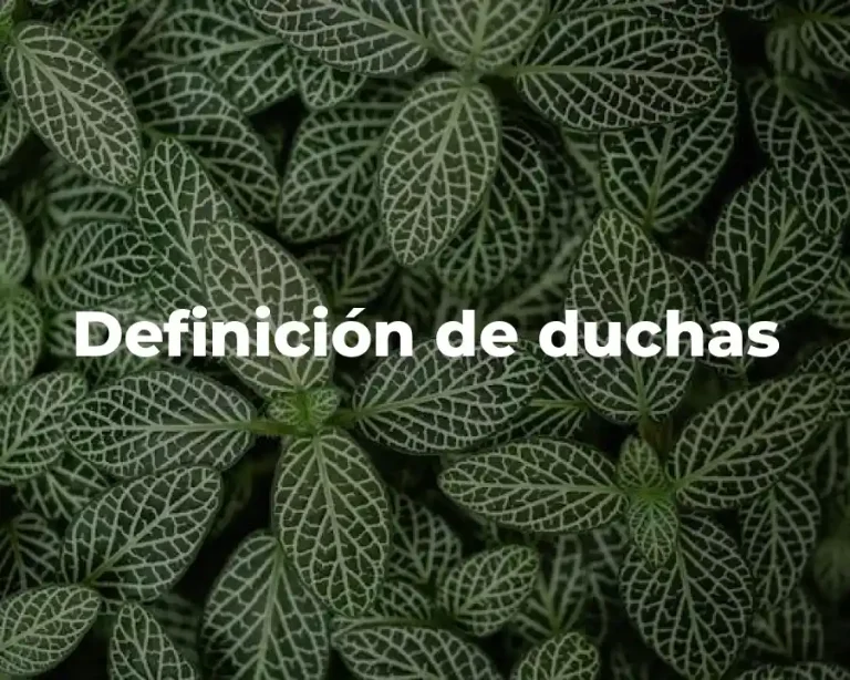 Definición de duchas