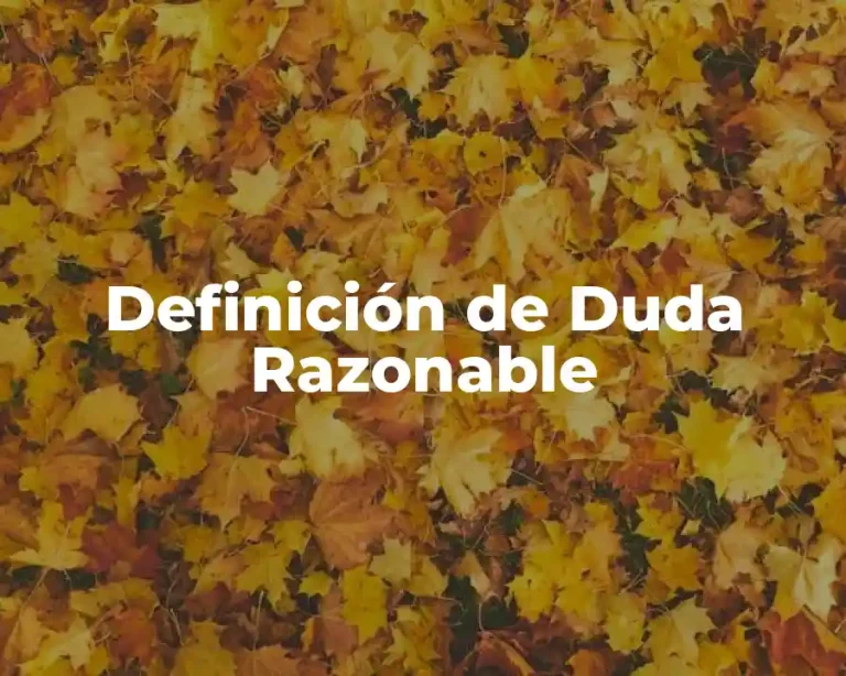 Definición de Duda Razonable