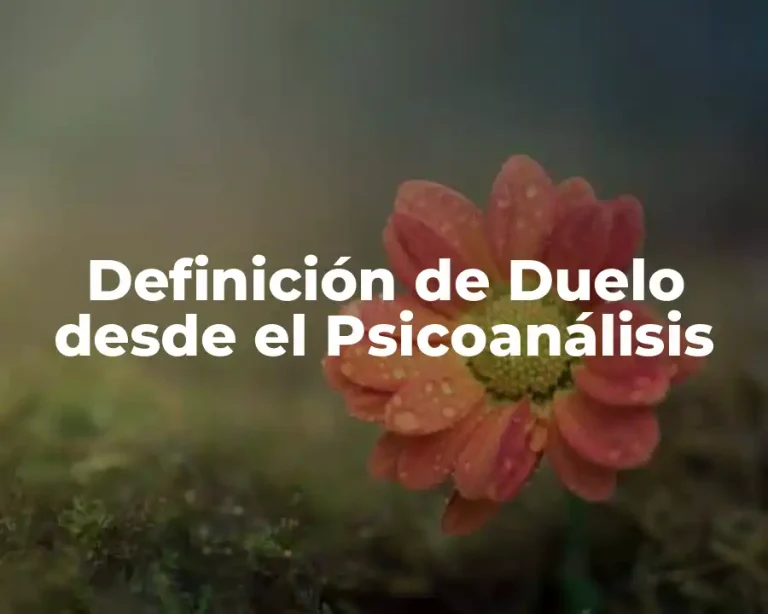 Definición de Duelo desde el Psicoanálisis