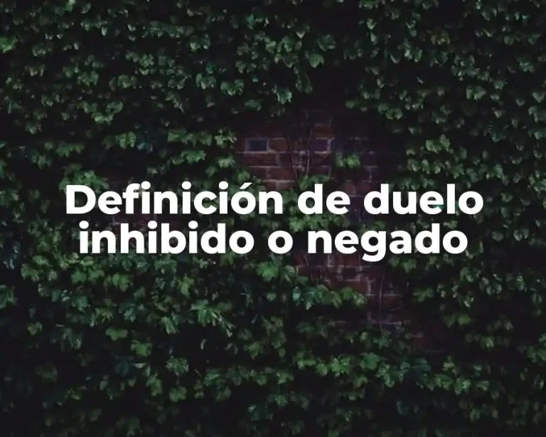 Definición de duelo inhibido o negado