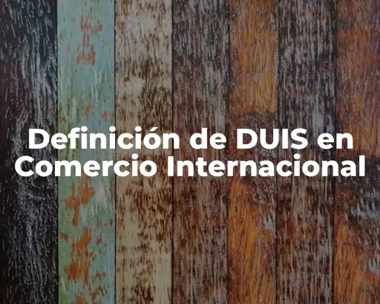 Definición de DUIS en Comercio Internacional