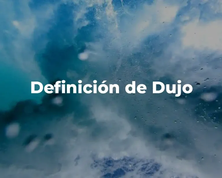 Definición de Dujo