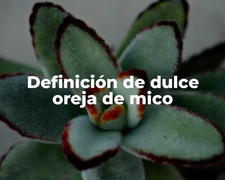 Definición de dulce oreja de mico