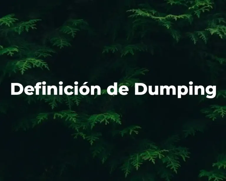 Definición de Dumping