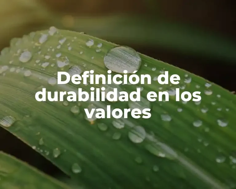 Definición de durabilidad en los valores