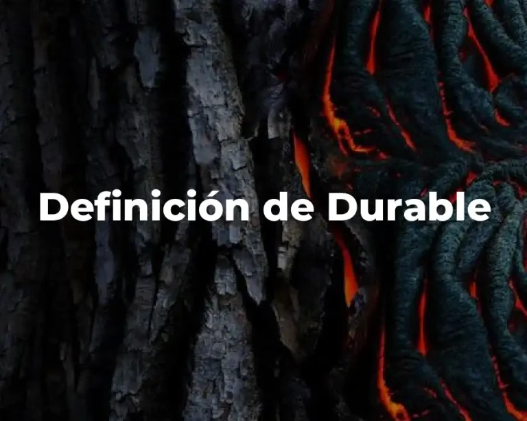 Definición de Durable