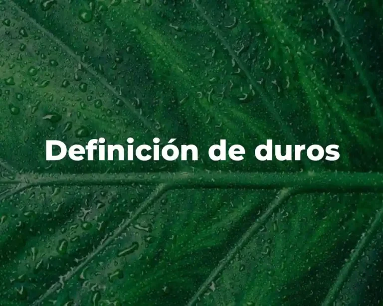 Definición de duros