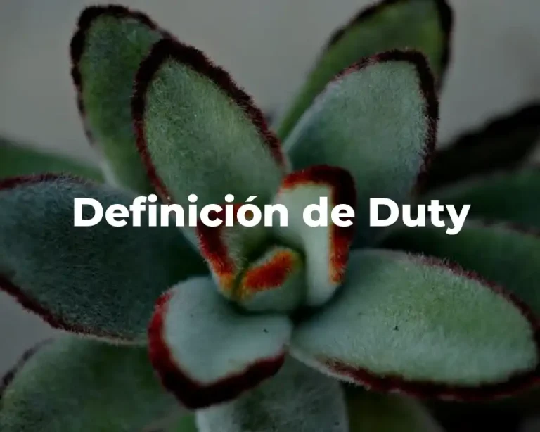 Definición de Duty