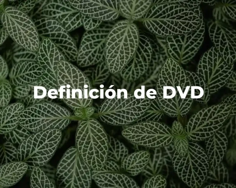 Definición de DVD