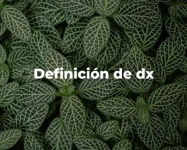Definición de dx