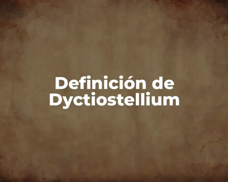 Definición de Dyctiostellium