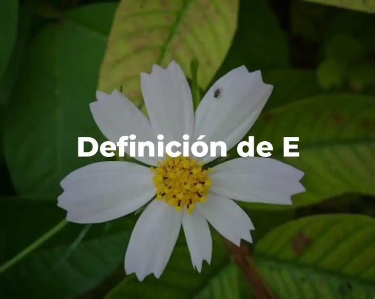 Definición de E