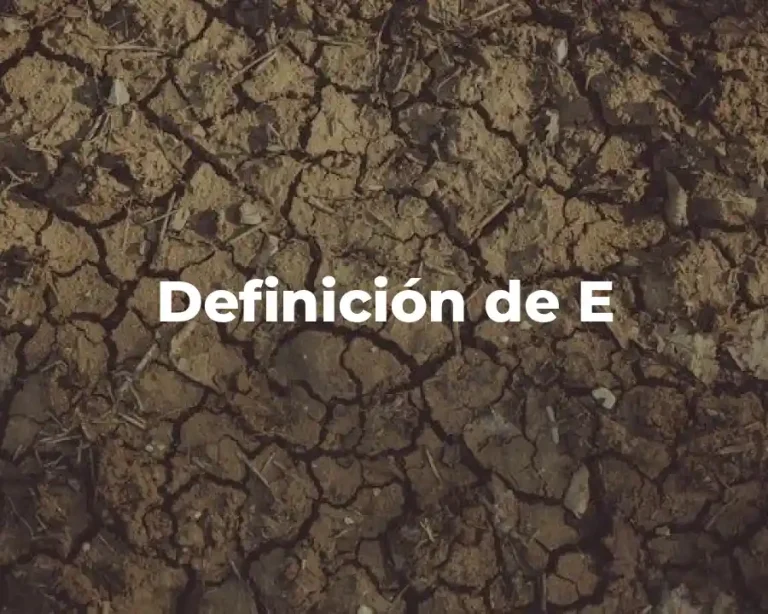 Definición de E