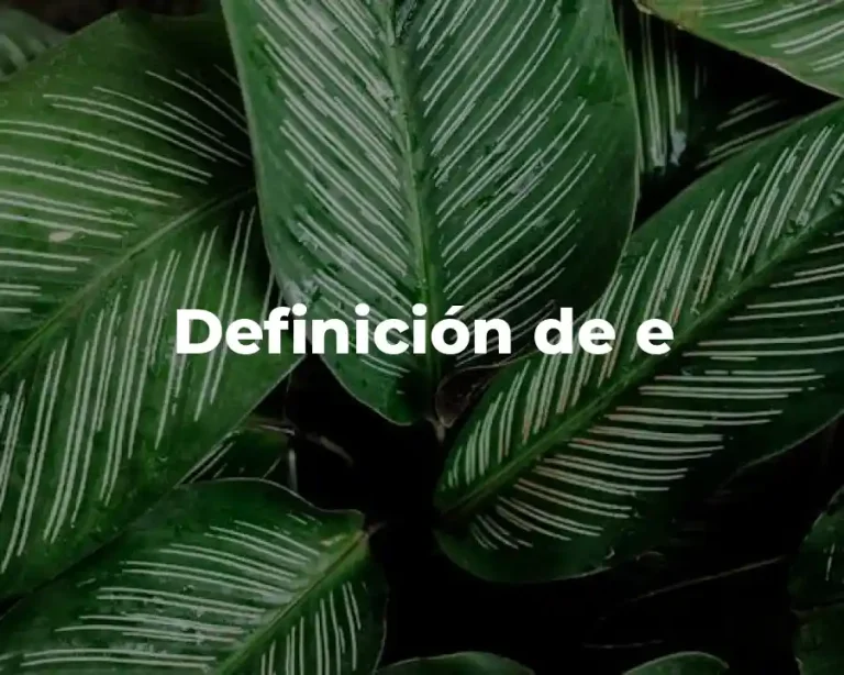 Definición de e