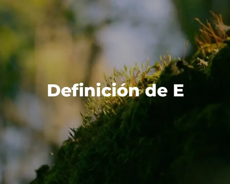 Definición de E