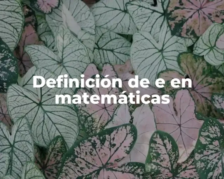 Definición de e en matemáticas