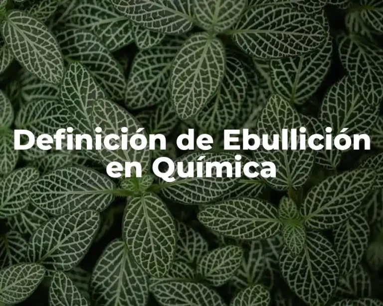 Definición de Ebullición en Química
