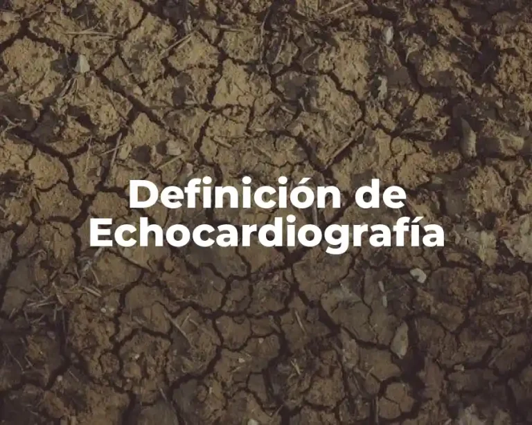 Definición de Echocardiografía