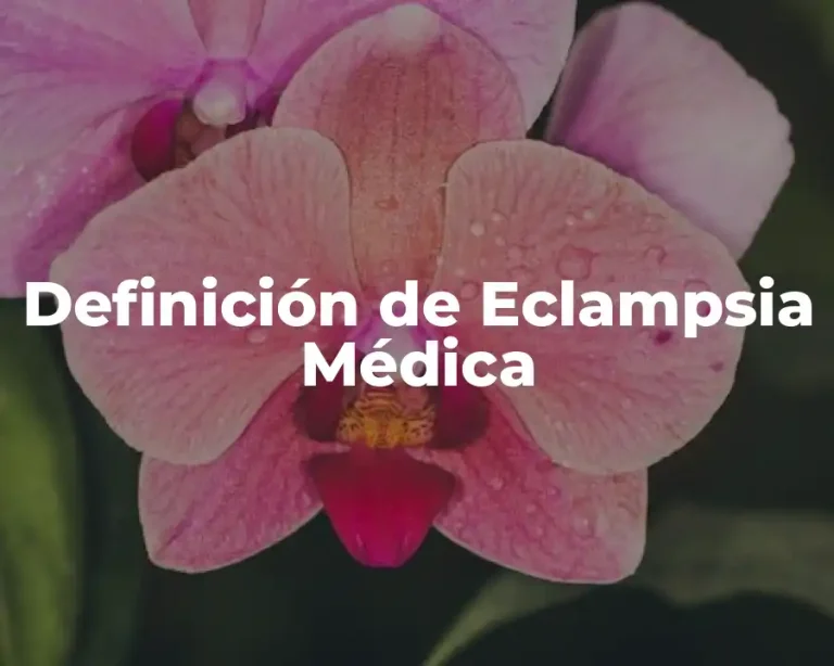 Definición de Eclampsia Médica