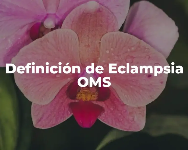 Definición de Eclampsia OMS