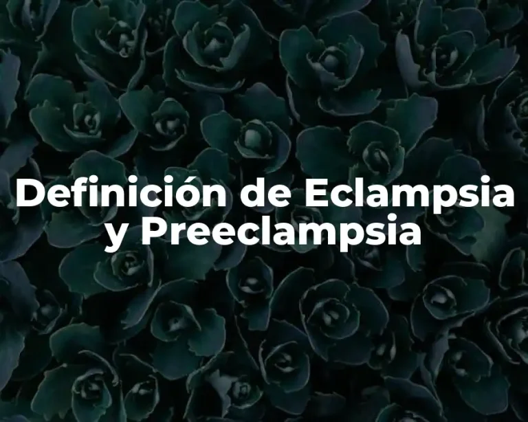 Definición de Eclampsia y Preeclampsia