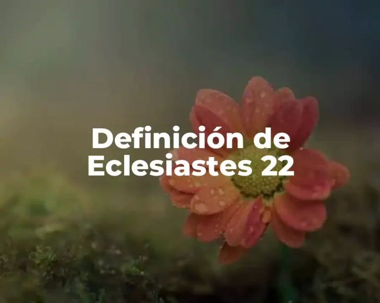 Definición de Eclesiastes 22