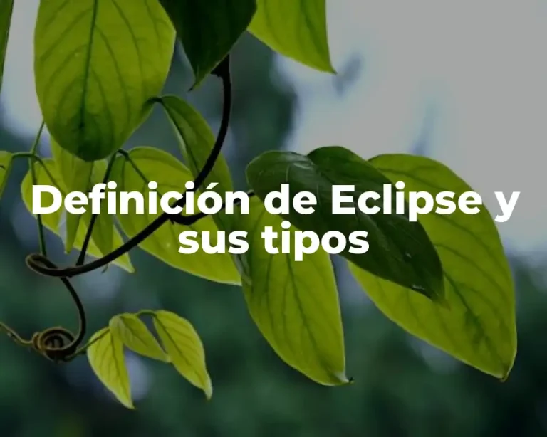 Definición de Eclipse y sus tipos
