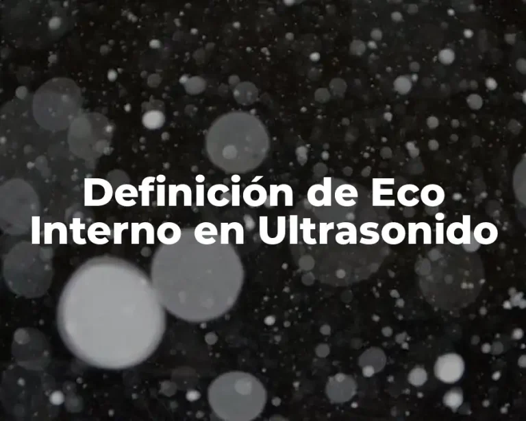 Definición de Eco Interno en Ultrasonido