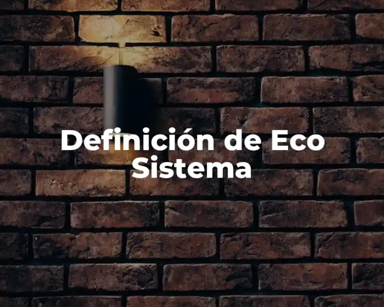 Definición de Eco Sistema