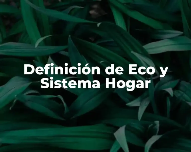 Definición de Eco y Sistema Hogar