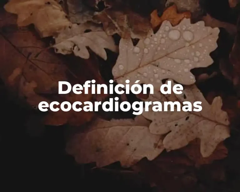 Definición de ecocardiogramas