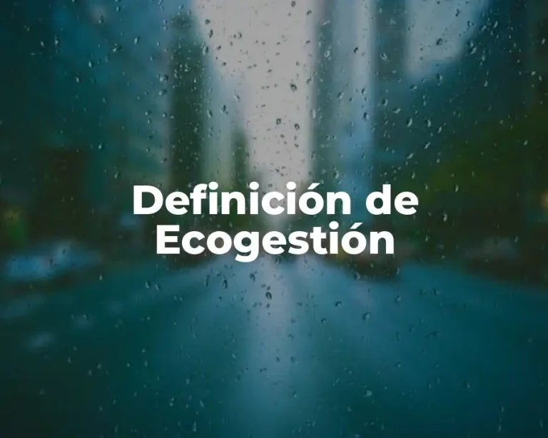 Definición de Ecogestión