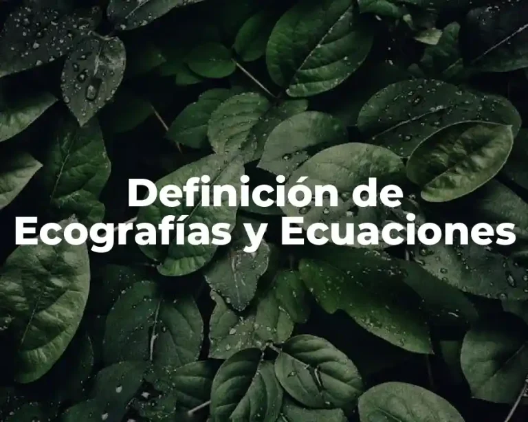 Definición de Ecografías y Ecuaciones