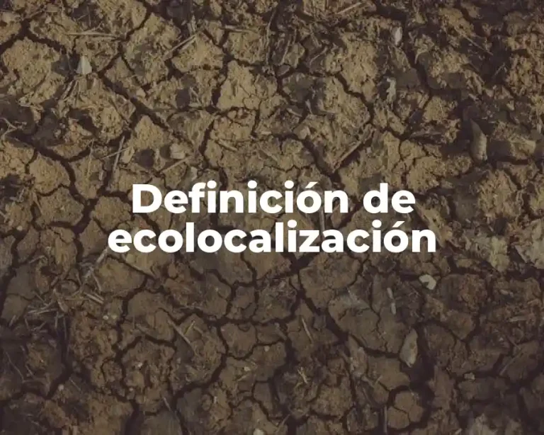Definición de ecolocalización