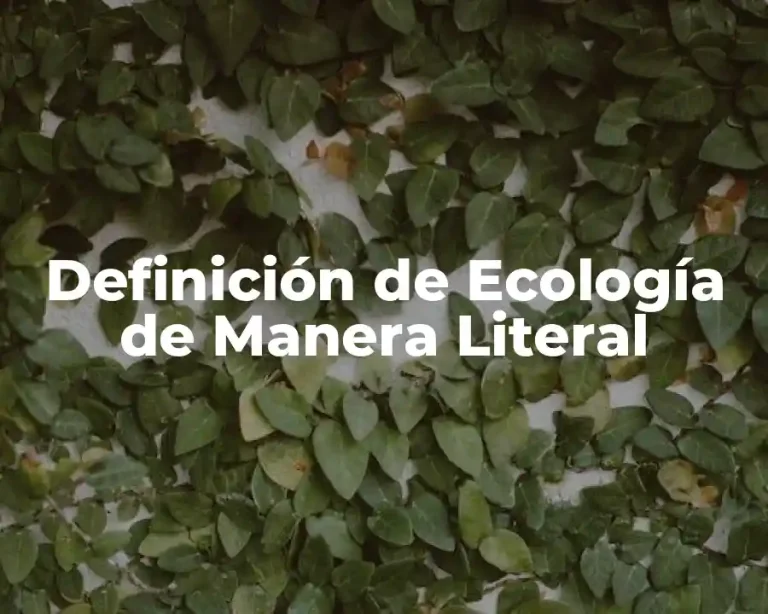 Definición de Ecología de Manera Literal