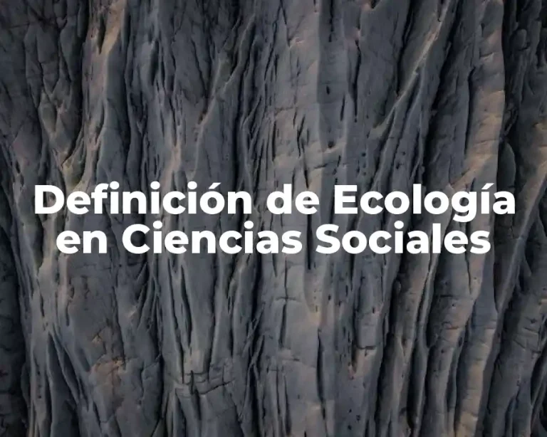 Definición de Ecología en Ciencias Sociales