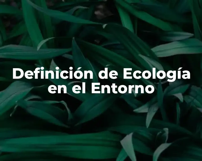 Definición de Ecología en el Entorno